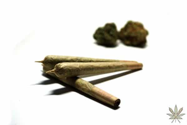 Weed Delivery