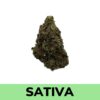 Strawberry Diesel strain is a sativa classic among cannabis smokers. Consumers with a well-balanced experience, Strawberry Diesel relaxes your muscles while creating an energizing, clear-headed sensation.