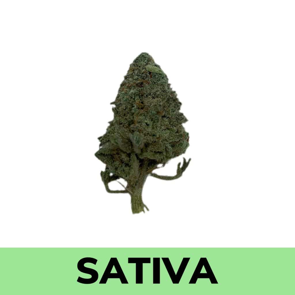 Lemon Haze (AA) Canna Club Co Weed Delivery & Mail Order