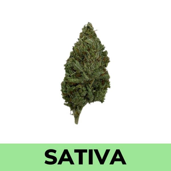 Weed Delivery