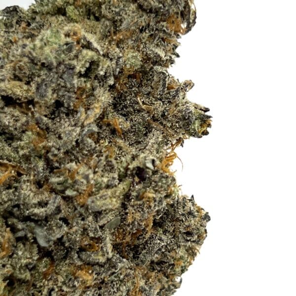 Purple Dream - Weed Delivery