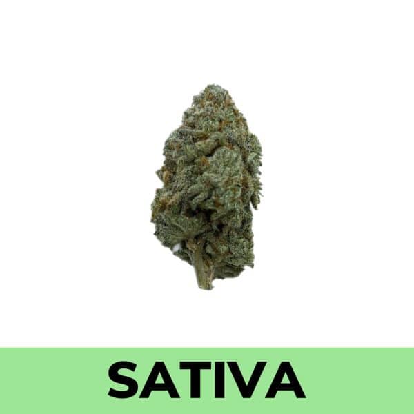 Weed Delivery
