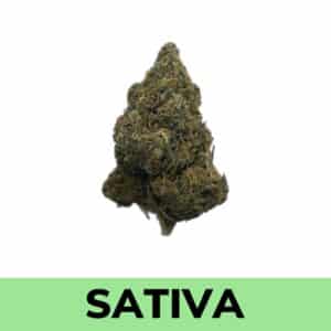 Weed Delivery
