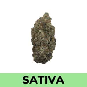 Weed Delivery