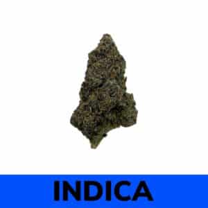 Weed Delivery