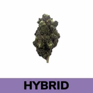 Weed Delivery