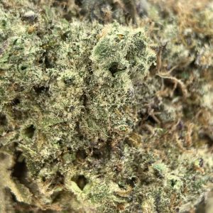 Donkey Butter is a rare indica dominant hybrid strain created through crossing the classic Grease Monkey X Triple OG strains
