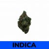 Critical Kush (AAA+)