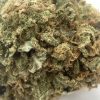 Island Sweet Skunk (AAA) - Image 2