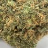 Nuken (AA) - Image 2