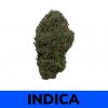 Buy Weed Online - Nuken Strain