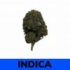 Pre-98 Bubba (AAA)