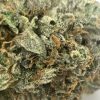 Pink Gas - Smalls (AAAA) - Image 2
