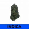 Pink Gas - Smalls (AAAA)