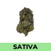Weed Delivery