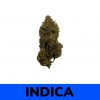 Weed Delivery