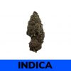 Stripper Glitter is an indica dominant cannabis strain created through crossing the powerful Girl Scout Cookies X Grand Daddy Purple strains.