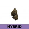 Sugar Cookies is a 50/50 blended strain. The high is relaxing in nature and uplifting by design.