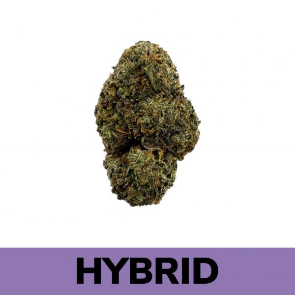 Weed Delivery Grease Monkey strain is a hybrid. Initially felt in the face, with its body high gradually seeping into your every muscle. It also has a cerebral component.