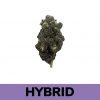 Gorilla Butter is an evenly balanced hybrid strain created through crossing the delicious Peanut Butter Breath X Gorilla Glue #4 strains.