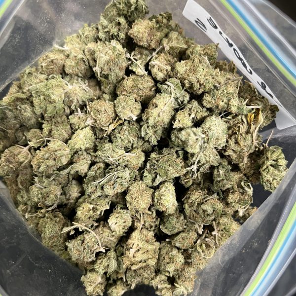 Blue Dream is said to be an ideal strain for treating patients suffering from conditions such as chronic stress, chronic pain due to injury or illness, mild to moderate cases of depression, and sleep disorders, including insomnia