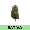 Black Lemon strain is a sativa-heavy strain.