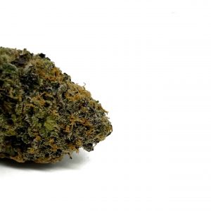 Project 4516 is a high-powered sativa-leaning strain from the California-based breeders at Grandiflora Genetics.