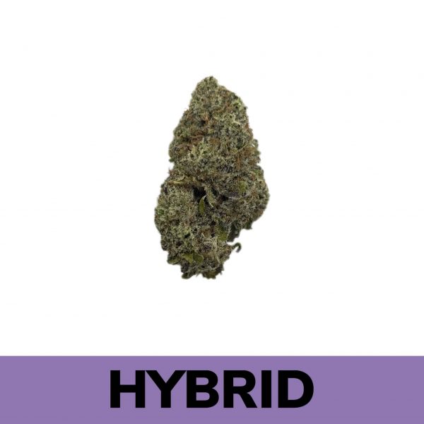 Hidden Pastry is a rare evenly balanced hybrid strain