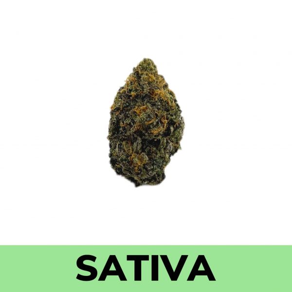 Project 4516 is a high-powered sativa-leaning strain from the California-based breeders at Grandiflora Genetics.