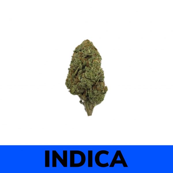 Motorbreath is often chosen to treat conditions such as nausea or appetite loss, insomnia, depression, and chronic pain