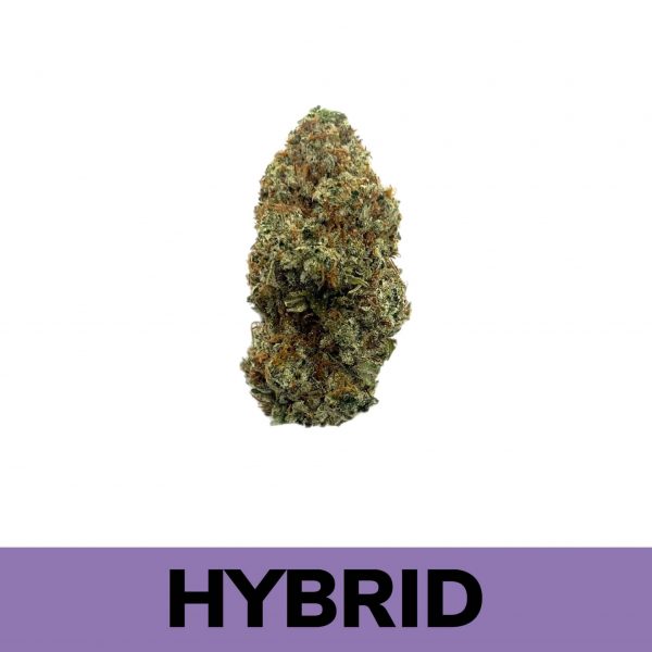 Sweet Gas is a hybrid strain with Blue Dream and Gas parents