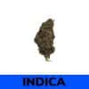Zkittles is an indica dominant strain created through a cross of the deliciously powerful Grape Ape X Grapefruit strains.