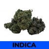 Island Pink - Smalls (AAAA+) Live Soil Organic