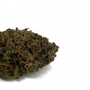 Jealousy is an evenly balanced hybrid strain created through crossing the delicious Gelato 41 X Sunset Sherbet strains.