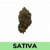 Weed Delivery