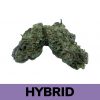 MAC-1 also known as “Miracle Alien Cookies X1, Is an evenly balanced hybrid strain