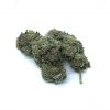 Great White Shark (AAA) - Image 2