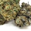 Island Pink - Smalls (AAAA+) Live Soil Organic - Image 2