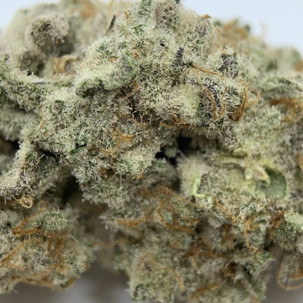 MAC 1 also known as “Miracle Alien Cookies X1, Is an evenly balanced hybrid strain