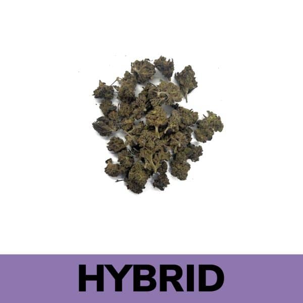 LA Runtz is an evenly balanced hybrid strain