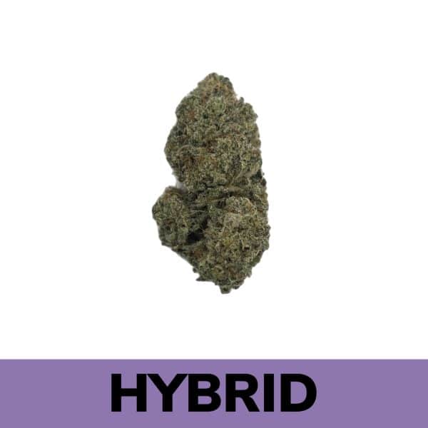 Kombucha is a Hybrid strain. This strain is the result of superstar parents Sour Diesel x Purple Punch.