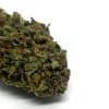 OG Diesel is a well-balanced strain of hybrid marijuana
