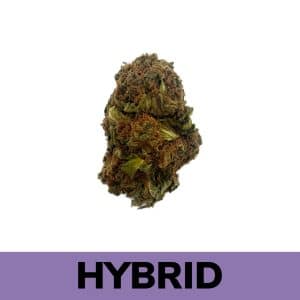 Juicy Fruit is a strong medical tool for patients dealing with anxiety, mood disorders, depression, lack of appetite, and physical pain.