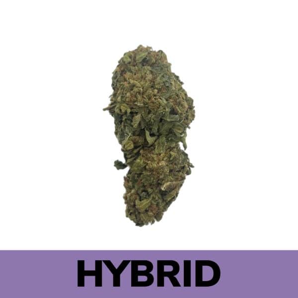 OG Diesel is a well-balanced strain of hybrid marijuana