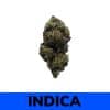 Platinum Blackberry strain is a rare indica dominant created through crossing the infamous Platinum OG Kush with the delicious Blackberry Kush strain. This bud brings on an insanely delicious flavor and gorgeous appearance all wrapped up with a potent heavy high. Platinum Blackberry has a sweet fruity berry flavor accented by hints of savory diesel and spices on each exhale.