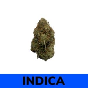 Shishkaberry strain is an indica dominant hybrid (80% indica/20% sativa) that is a potent cross between the delicious The Red X Blueberry strains. This dank bud boasts a moderately high THC level ranging from 18-26% on average and a combination of both indica and sativa effects.