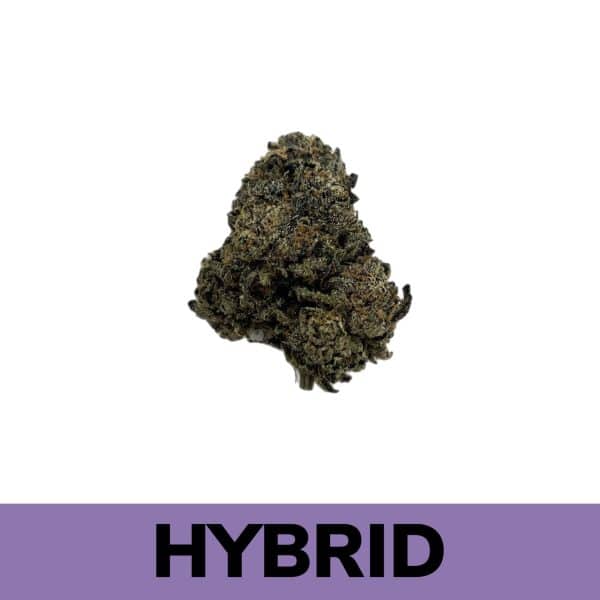 Purple Runtz is a hybrid weed strain made by crossing Gelato #33 with Zkittlez. This strain is more calming than energizing.