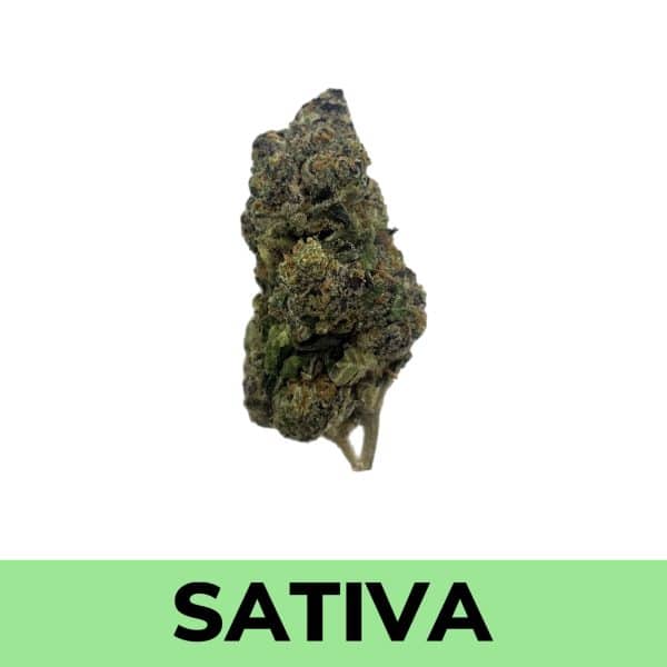 Purple Power weed strain is a good sativa strain for relaxing.