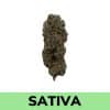 Tropicana Sour Diesel is also known as Tropicana crossed with Sour Diesel a classic sativa.