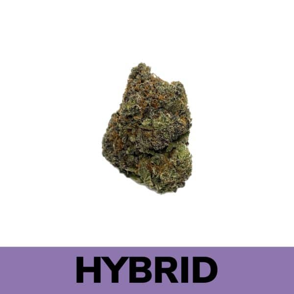 Frozen Gelato is a fairly well-balanced hybrid.